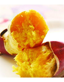 泉城烤薯加盟詳解 費(fèi)用、總部及地瓜坊餐飲管理分析